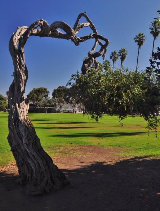 coastline park, La Jolla